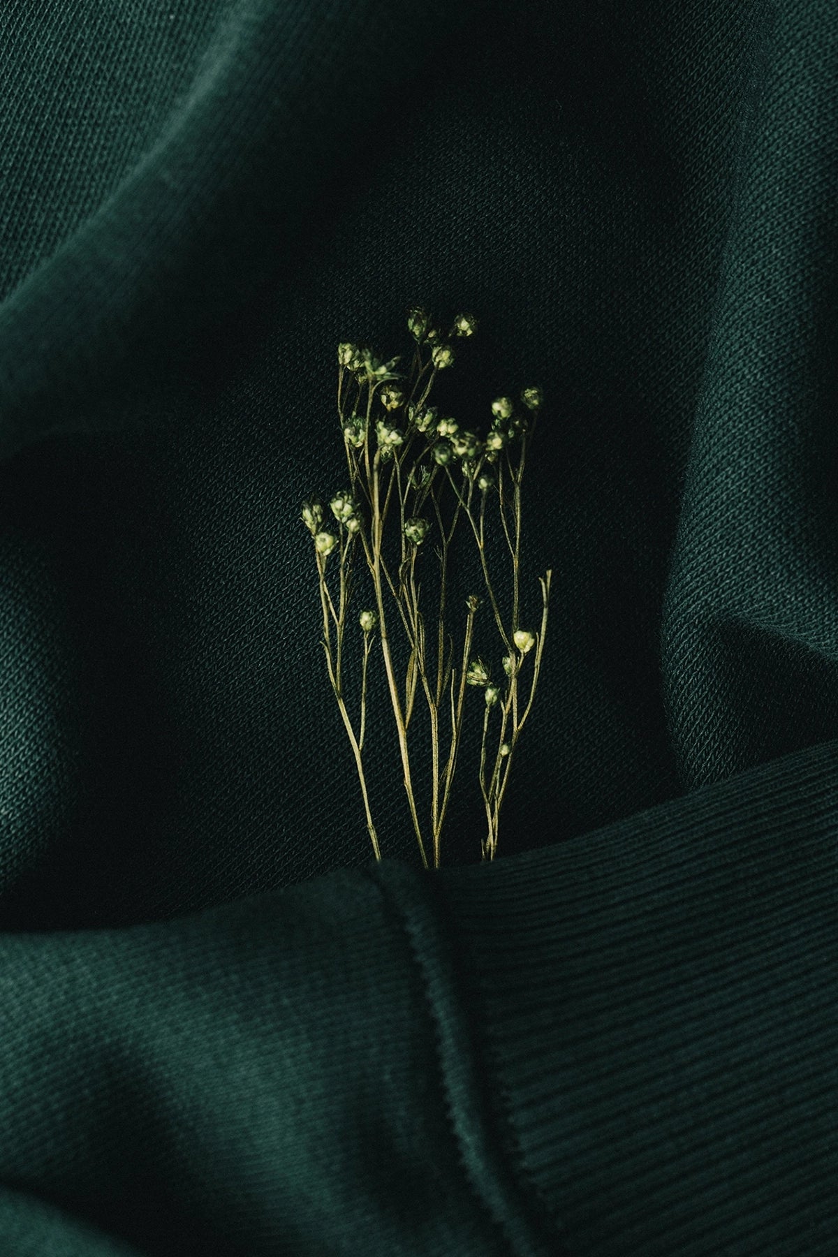 the scarab crewneck.