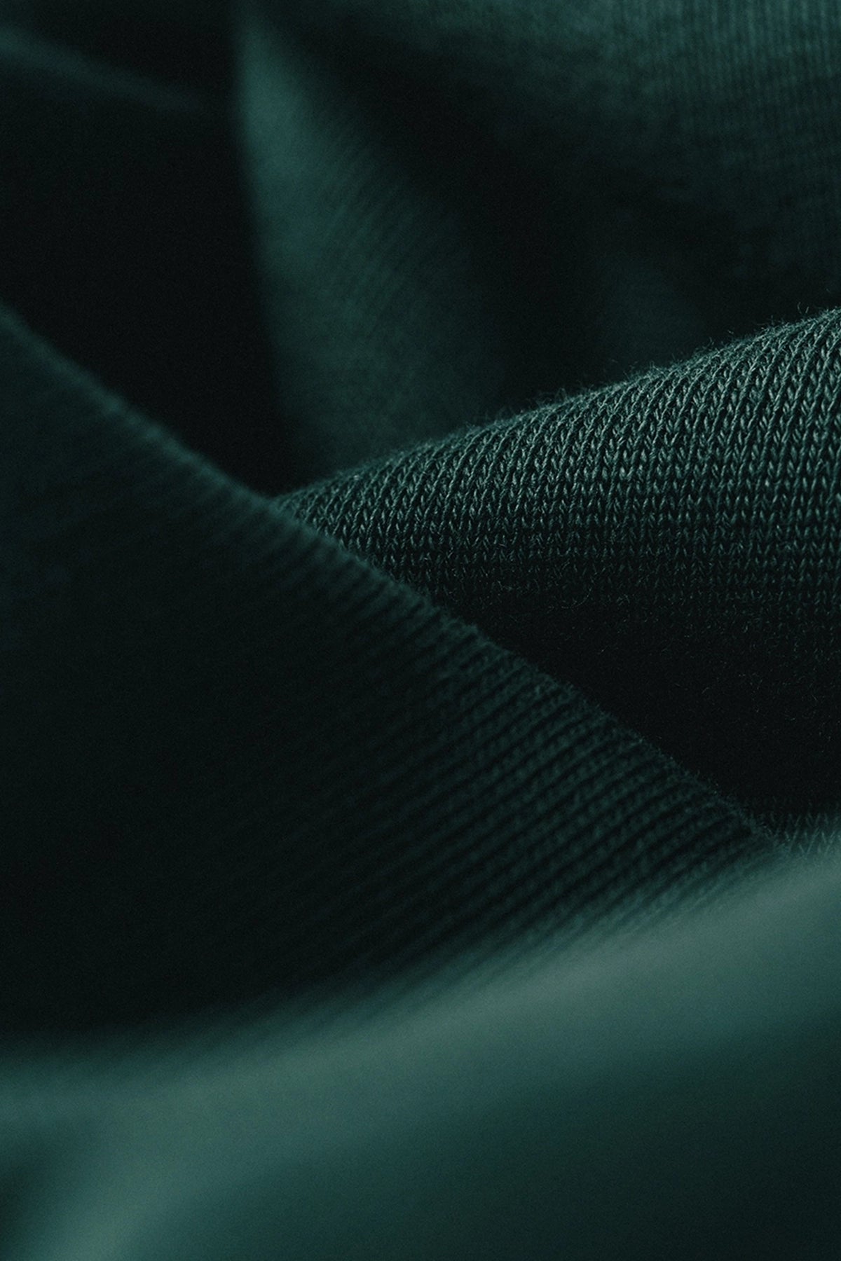 the scarab crewneck.