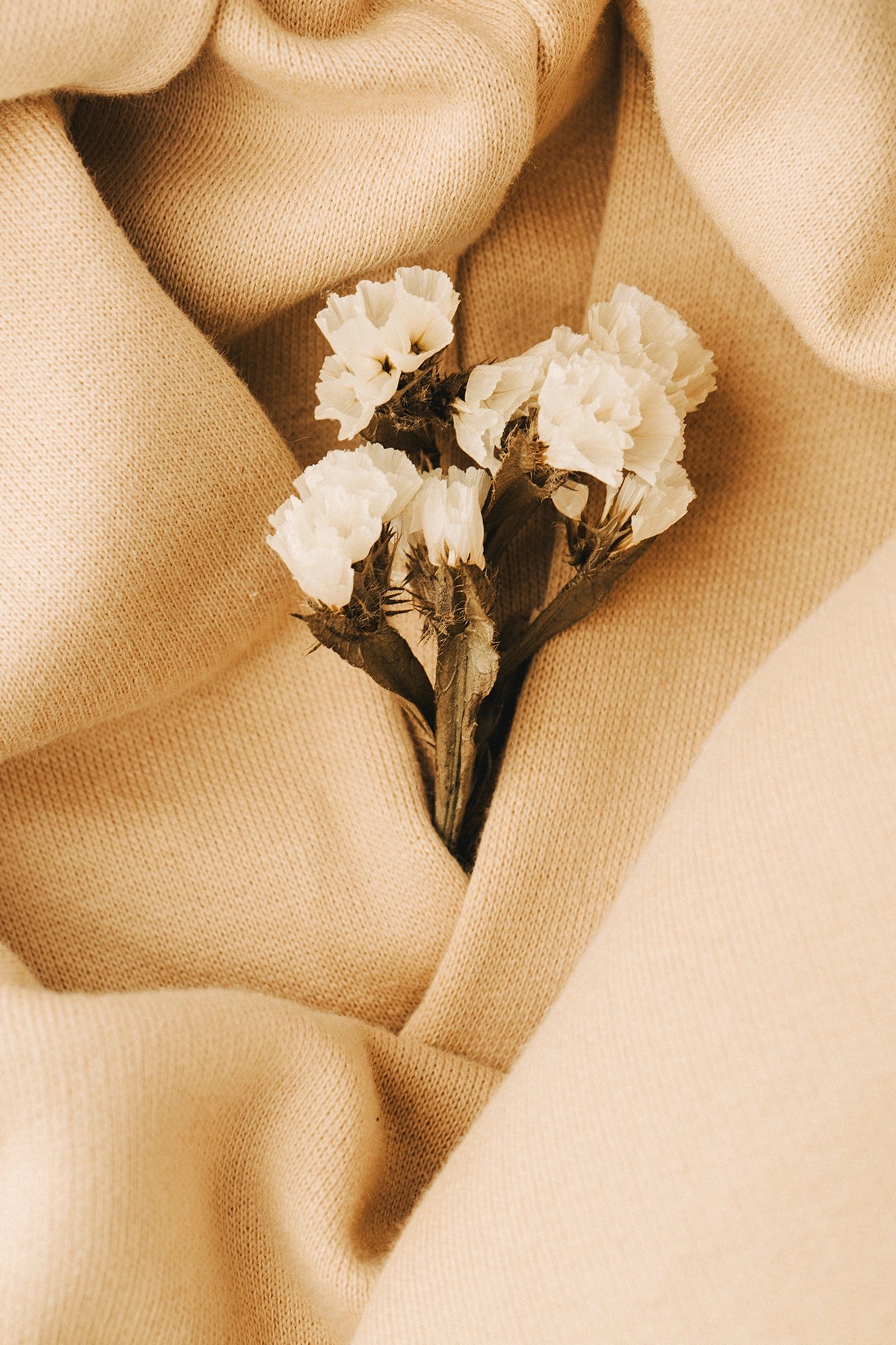 the almond hoodie.