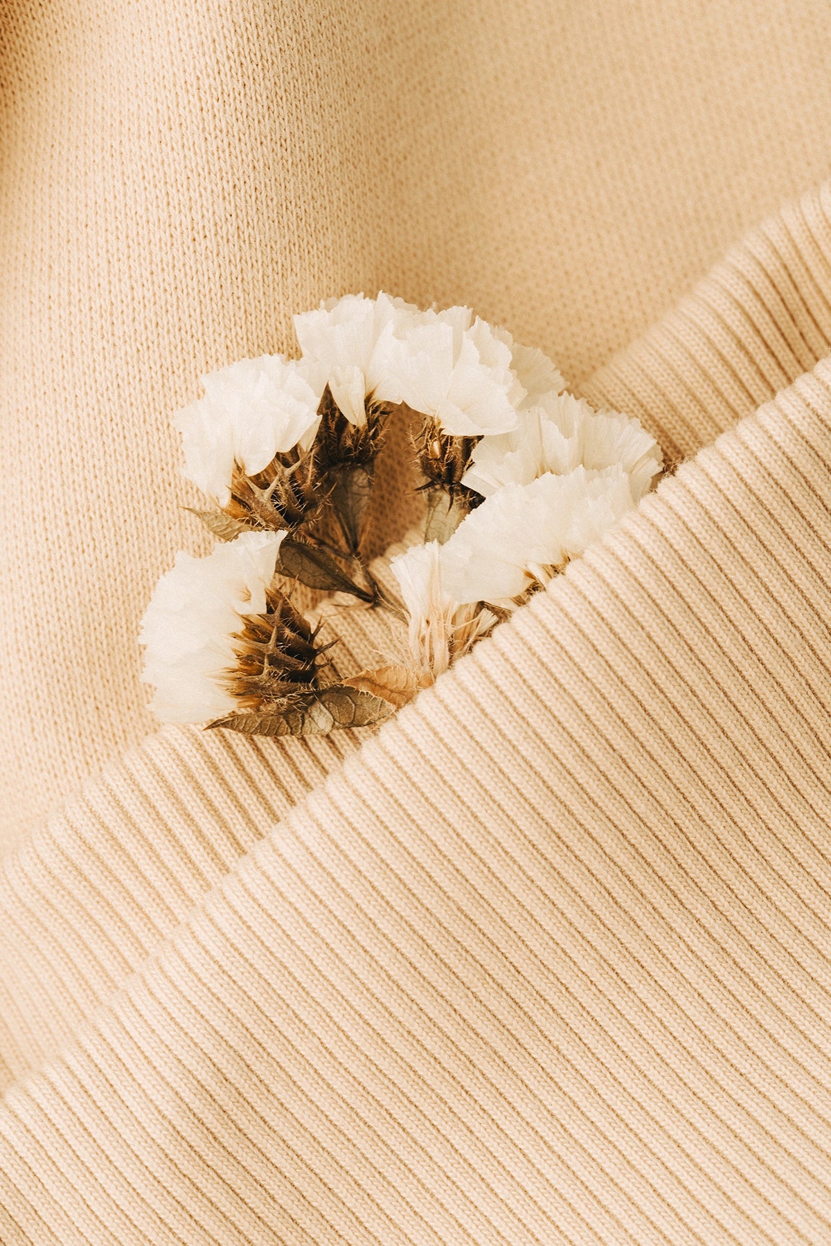 the almond hoodie.