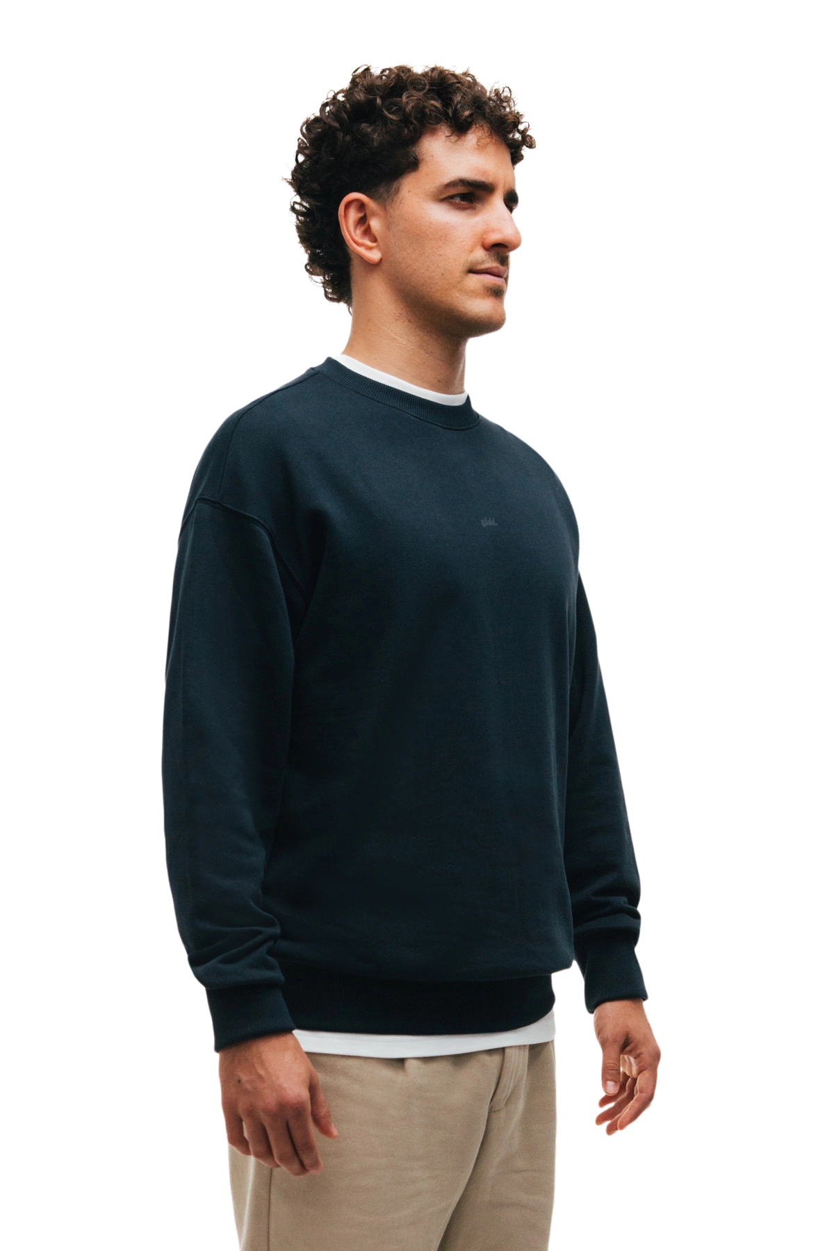 the 365 navy crewneck.